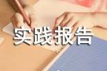 关于社会实践报告模板集合5篇