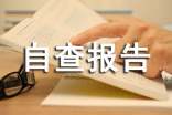 乡镇执纪审查工作自查报告范文(精选19篇)